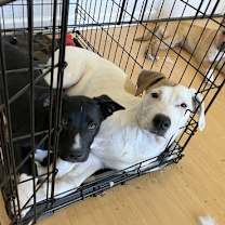 Thumbnail photo of Juneau #4