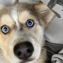 Thumbnail photo of Masha #2