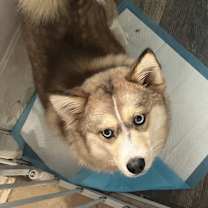 Thumbnail photo of Masha #3