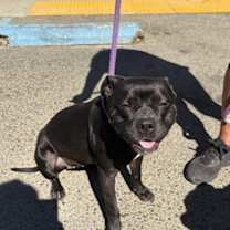 Thumbnail photo of DAISY #2