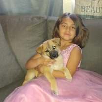 Thumbnail photo of Teddy bear #4