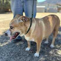 Thumbnail photo of SHIRLEY #3