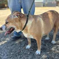 Thumbnail photo of SHIRLEY #2