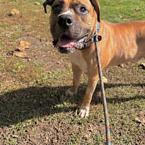 Thumbnail photo of Ray #1