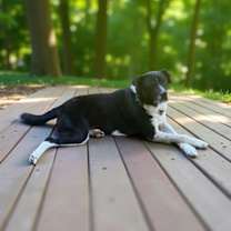 Thumbnail photo of Southern #4