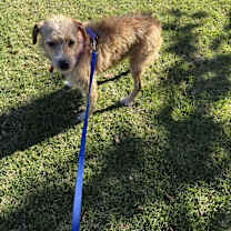 Thumbnail photo of Tina #2