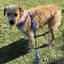 Thumbnail photo of Tina #3