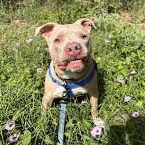 Thumbnail photo of Clubby #1