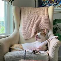 Thumbnail photo of Cash #1