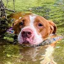 Thumbnail photo of Delta #3