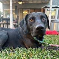 Thumbnail photo of Flower #1