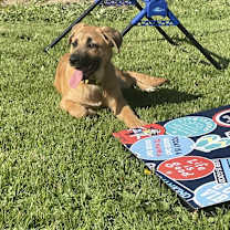 Thumbnail photo of Mira #3