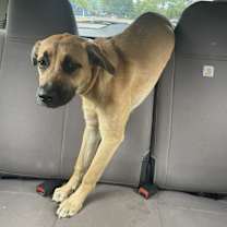 Thumbnail photo of Mira #4