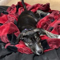 Thumbnail photo of NEELY #2