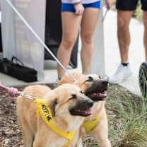 Thumbnail photo of Seabrook #1