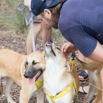 Thumbnail photo of Seabrook #2