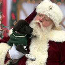 Thumbnail photo of Gem Stones: Pearl #1