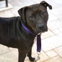 Thumbnail photo of Tilly #1