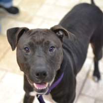 Thumbnail photo of Tilly #2