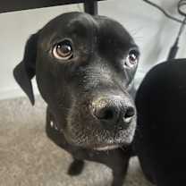 Thumbnail photo of Maya #3