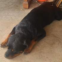 Thumbnail photo of Bubbles #2