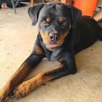 Thumbnail photo of Bubbles #3