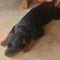 Thumbnail photo of Bubbles #2