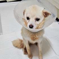 Thumbnail photo of Doah #2