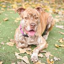 Thumbnail photo of Timberland #1