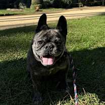 Thumbnail photo of Celeste #1