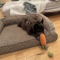 Thumbnail photo of Celeste #2