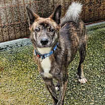 Thumbnail photo of Duffy #2