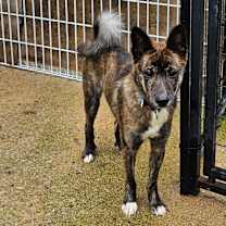 Thumbnail photo of Duffy #3