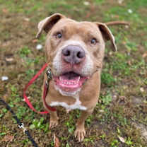 Thumbnail photo of Jelly #1