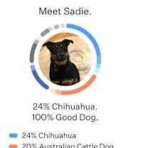 Thumbnail photo of Sadie Mae #1