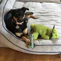 Thumbnail photo of Sadie Mae #3