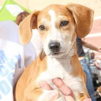 Thumbnail photo of Angel #3