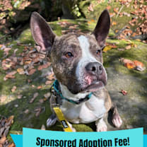 Thumbnail photo of Cash #1