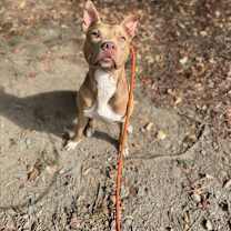 Thumbnail photo of Papa John #2