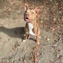 Thumbnail photo of Papa John #3