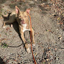 Thumbnail photo of Papa John #4