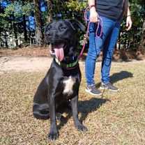 Thumbnail photo of Isa #4