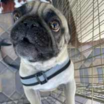 Thumbnail photo of Leroy Brown #2