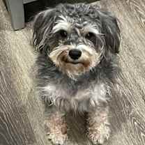 Thumbnail photo of Demi #2