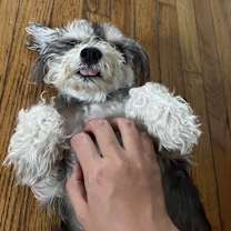 Thumbnail photo of Demi #4