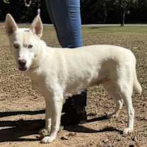 Thumbnail photo of Elsa #1