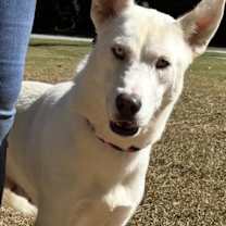 Thumbnail photo of Elsa #2