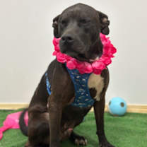 Thumbnail photo of Keanu #4