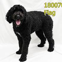 Thumbnail photo of Myers #3