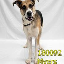 Thumbnail photo of Myers #4